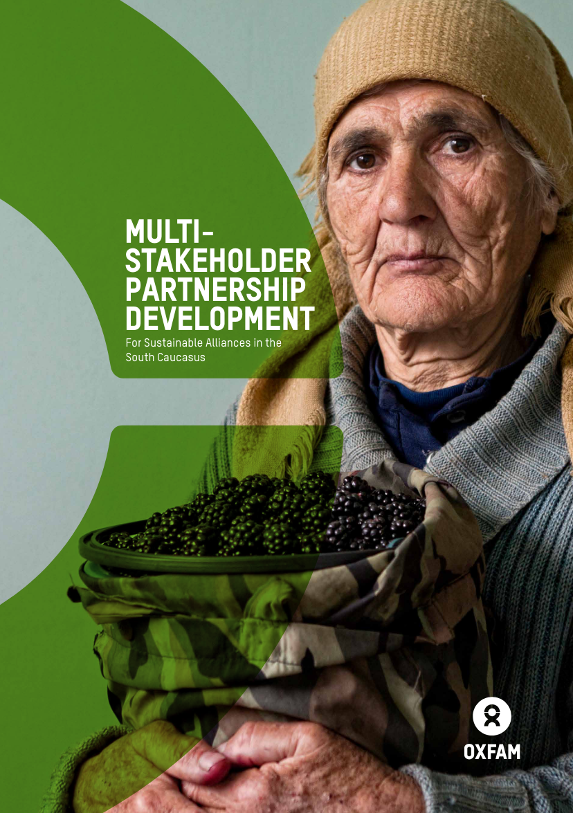 Multi-Stakeholder Partnership Development for Sustainable Alliances in the South Caucasus